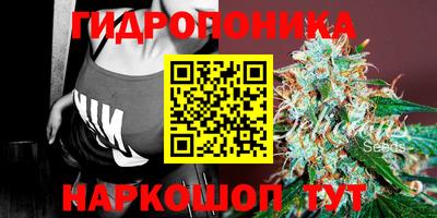 прущая мука Будённовск
