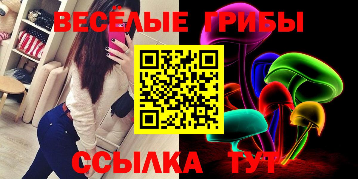 Псилоцибиновые грибы Psilocybe Саранск